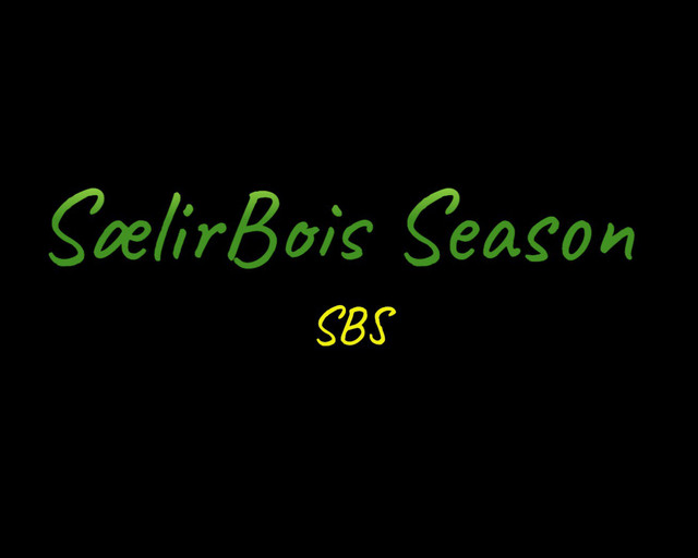 SælirBois Season cover art