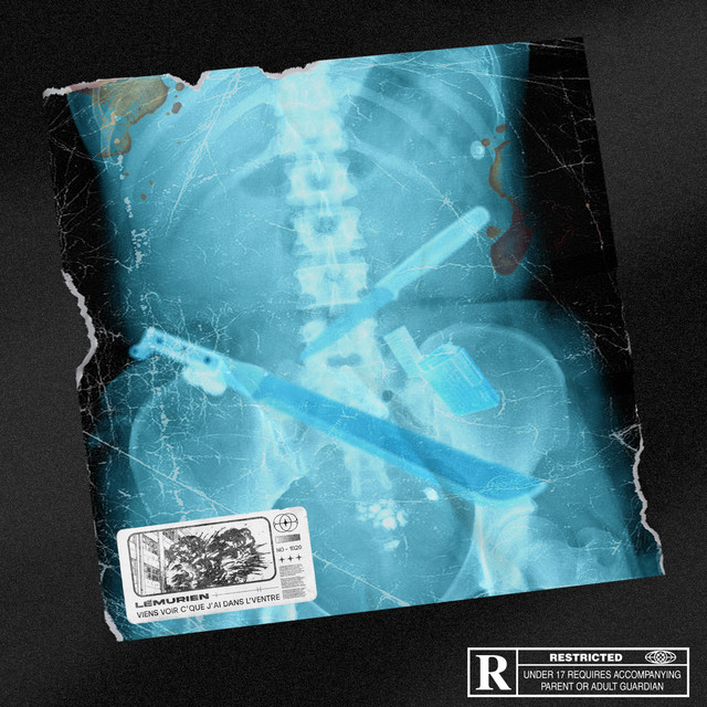 viens voir c'que j'ai dans l'ventre cover art