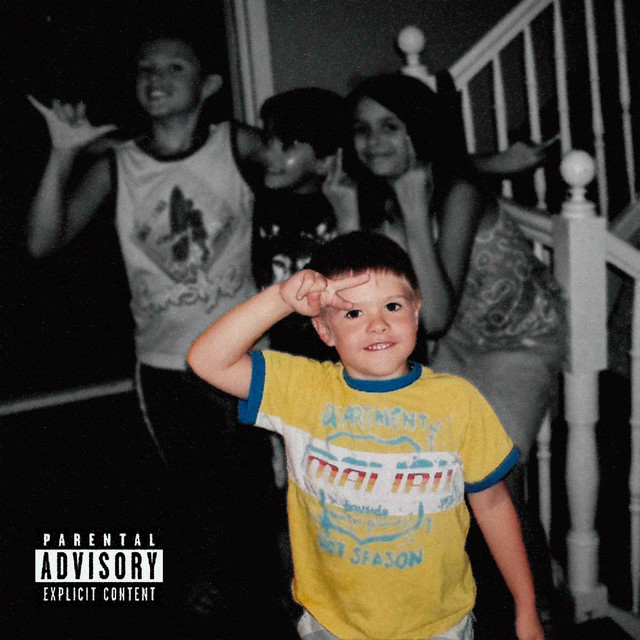Fin cover art