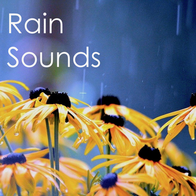 16 Storm and Rain Sounds cover art