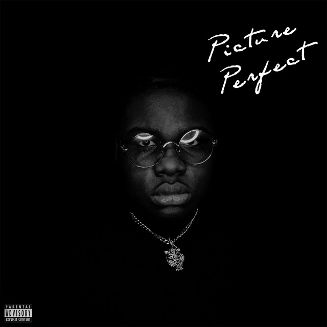 Picture Perfect cover art