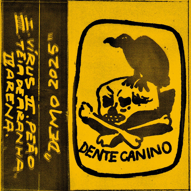 Dente Canino