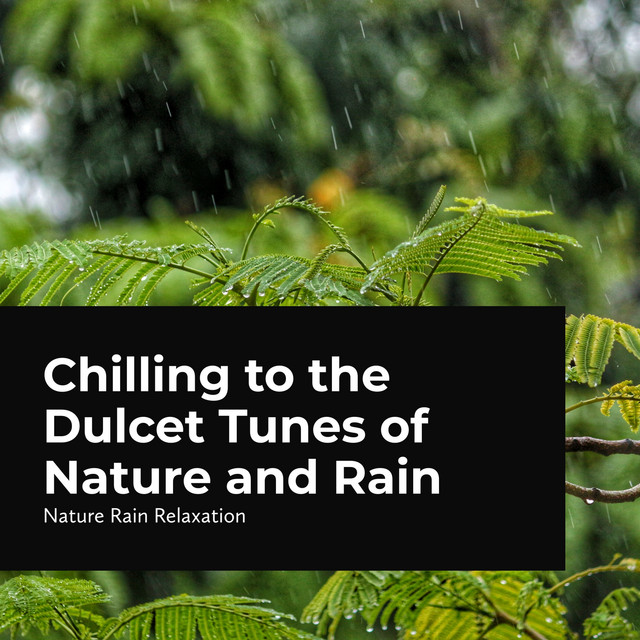 Chilling to the Dulcet Tunes of Nature and Rain cover art