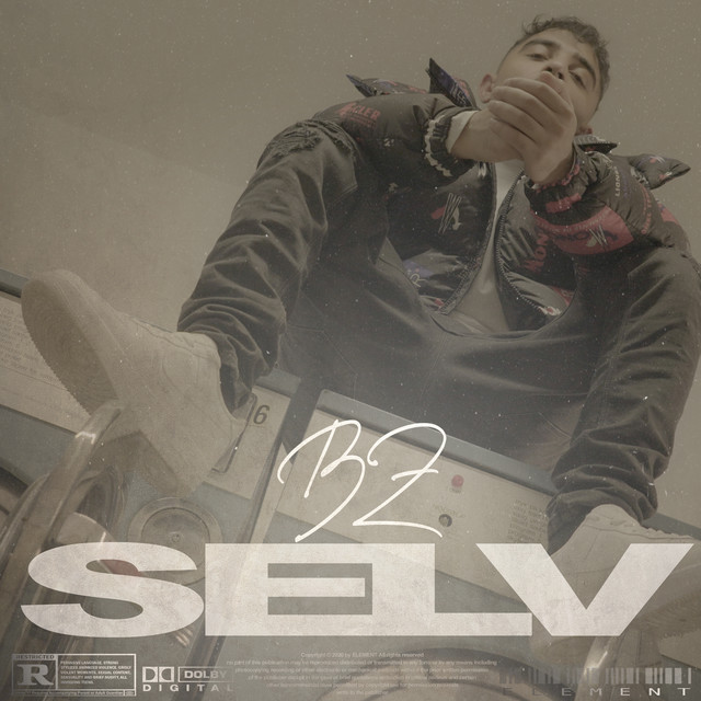 SELV cover art