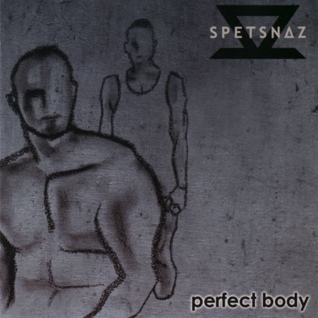 That Perfect Body cover art