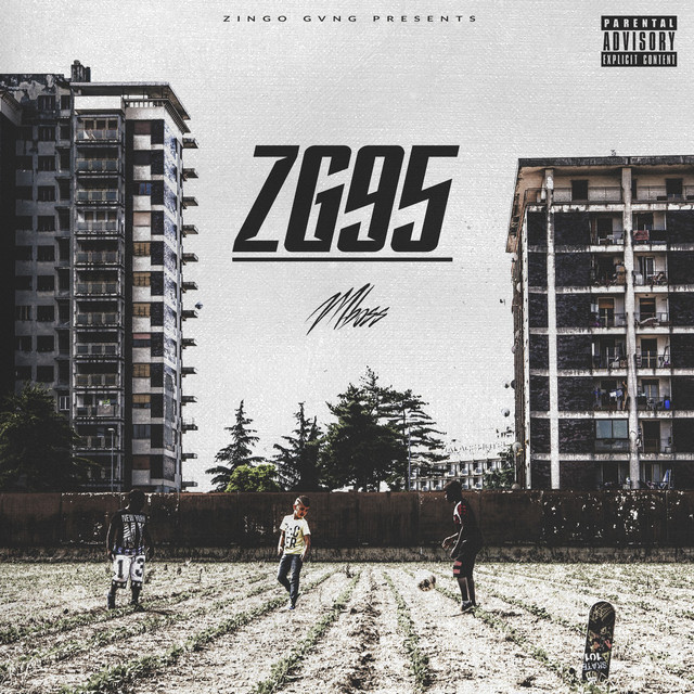 Zg95 cover art