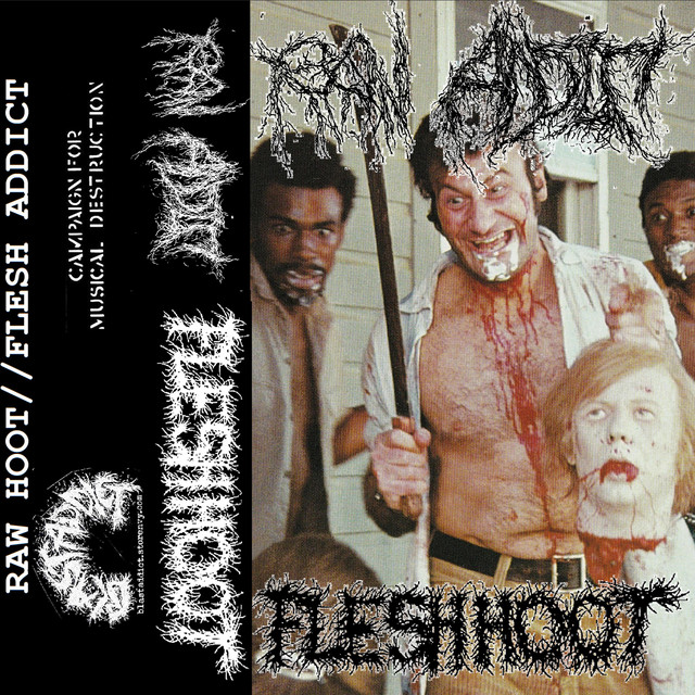 RAW HOOT//FLESH ADDICT (FLESH HOOT SPLIT) cover art