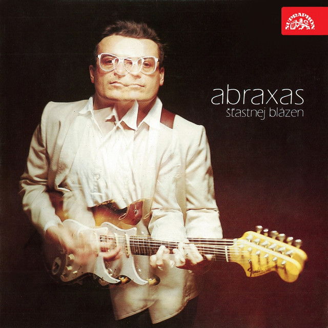 Šťastnej Blázen cover art