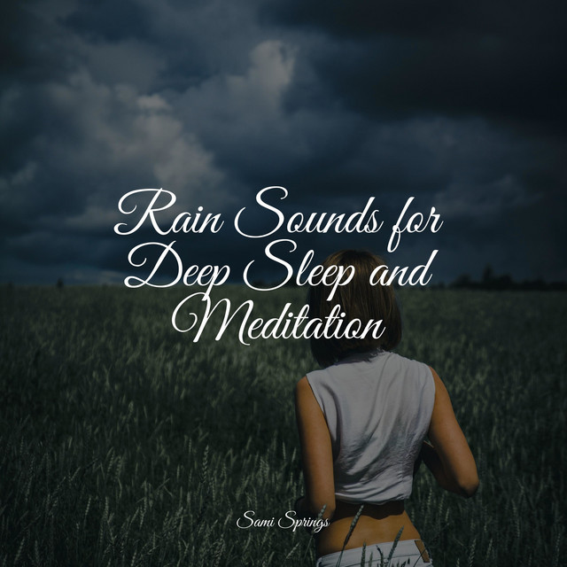 Rain Sounds for Deep Sleep and Meditation - Album by Sons da Natureza ...