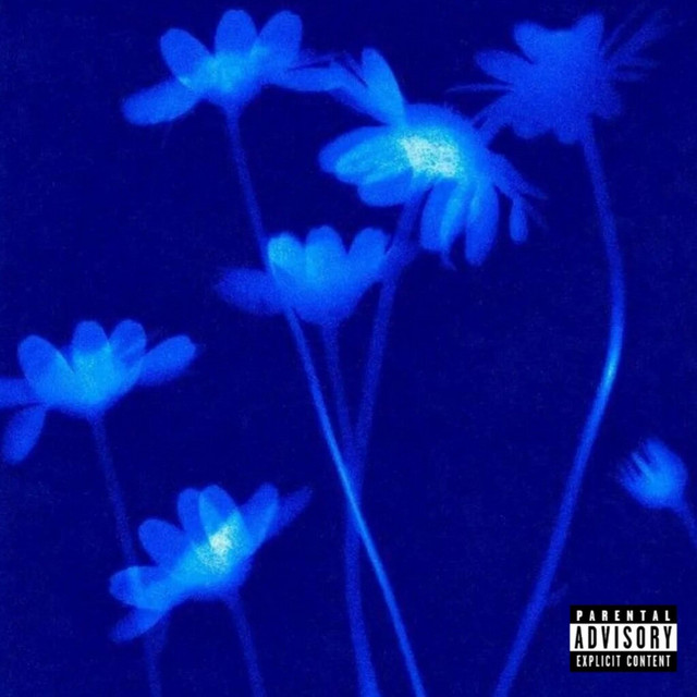 The Bright Side cover art