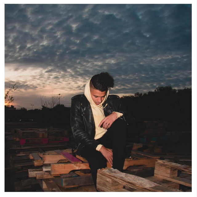 Wild Sinds cover art