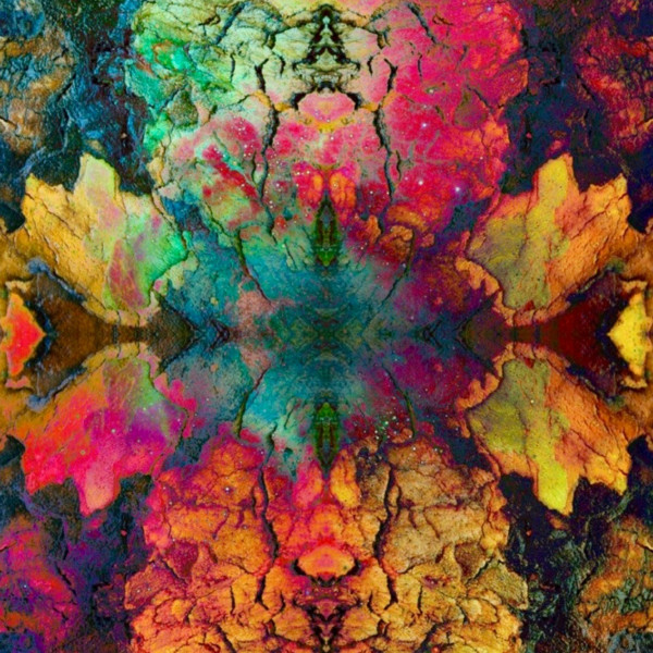 Adapter cover art