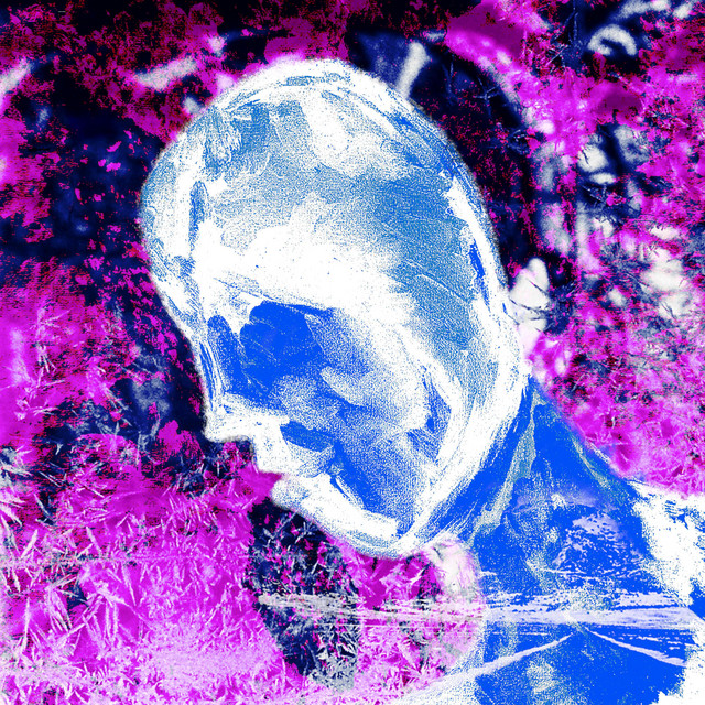 Seed cover art