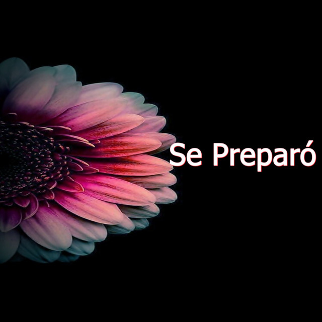 Se Preparó