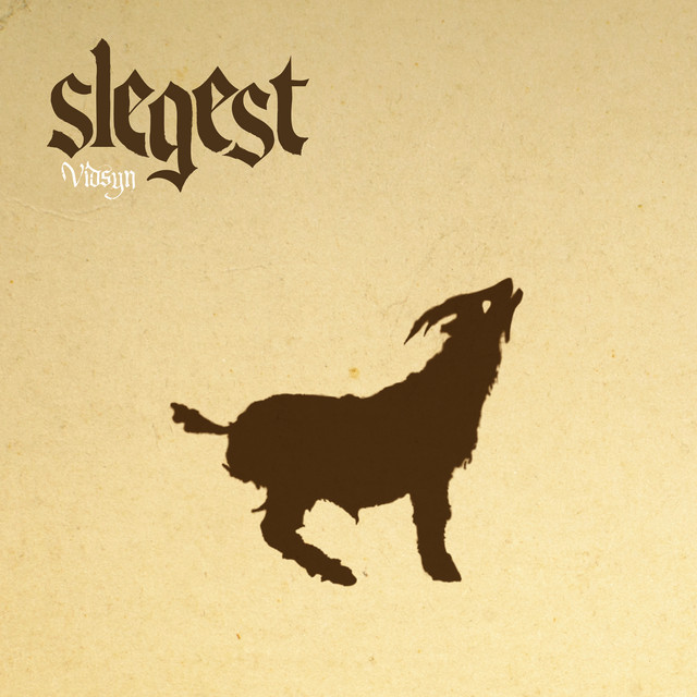 Vidsyn cover