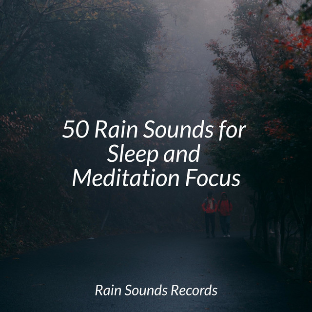 50 Rain Sounds for Sleep and Meditation Focus - Album by Bird Sounds ...