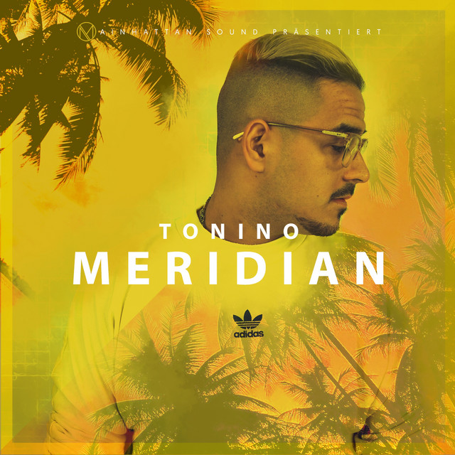 Meridian cover
