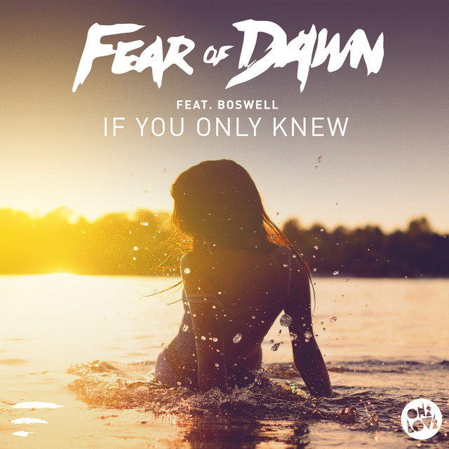 If You Only Knew (feat. Boswell) - Tom Budin Remix cover art