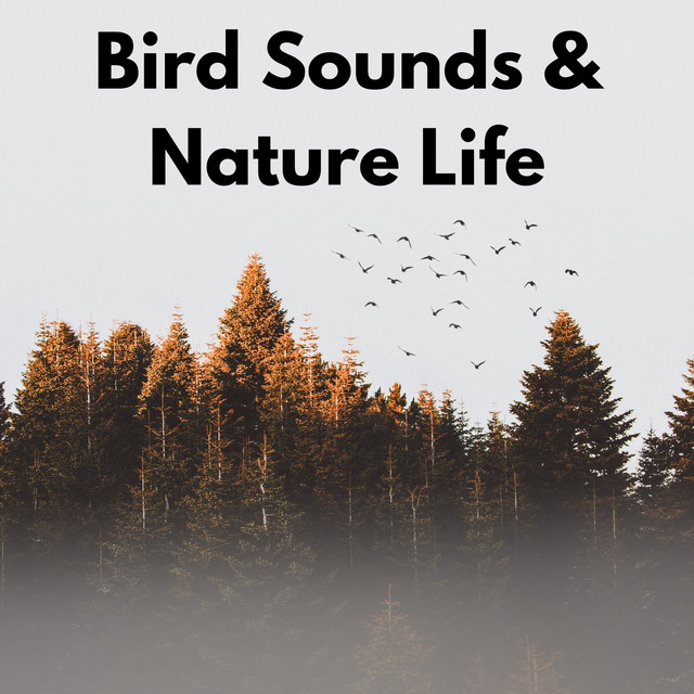 Bird Sounds & Nature Life cover