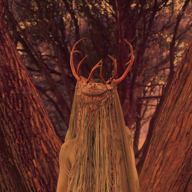 Cover art: Hunting — AVI-AVI