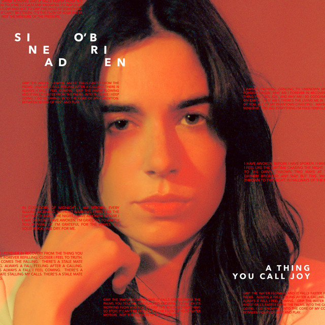 A Thing You Call Joy Song By Sinead O Brien Spotify