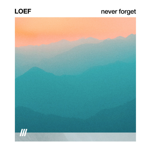 NEVER FORGET cover art