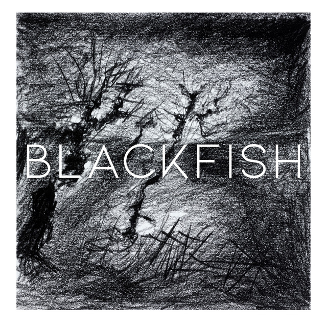 Blackfish (single)