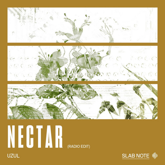 NECTAR (Radio Edit) cover
