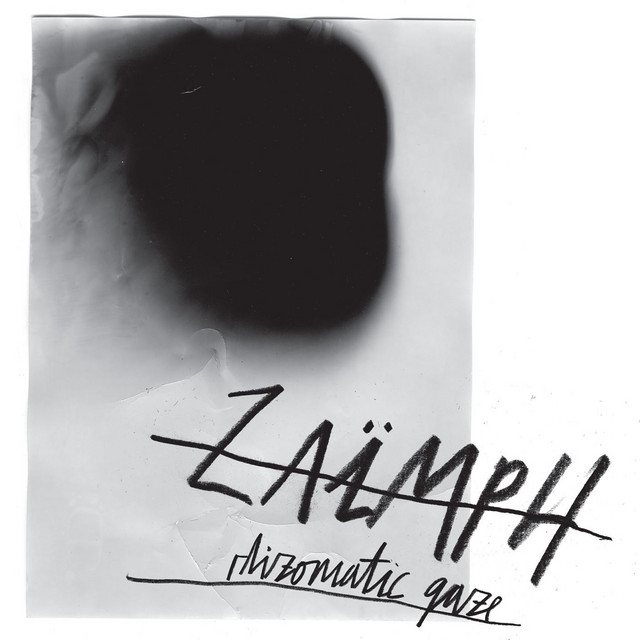 Rhizomatic Gaze cover art