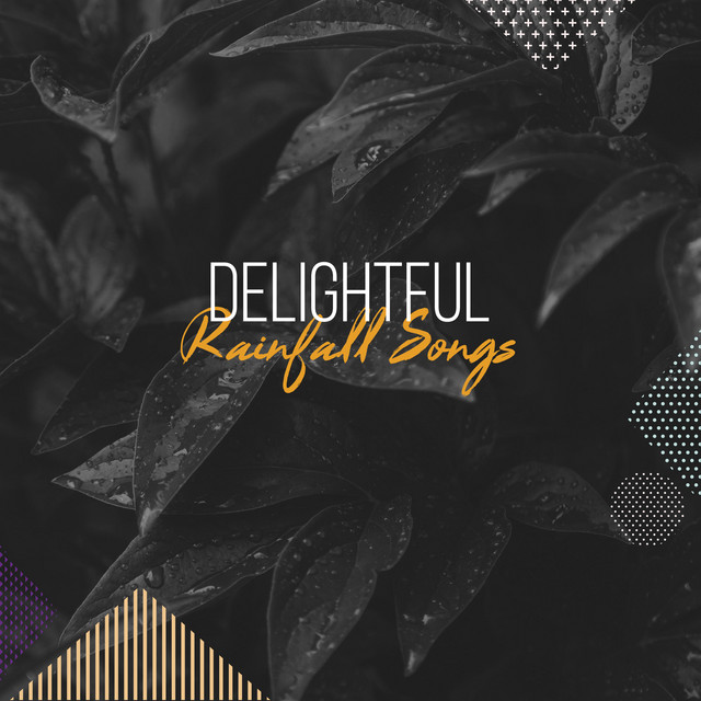 #14 Delightful Rainfall Songs for Relaxation & Deep Sleep cover art