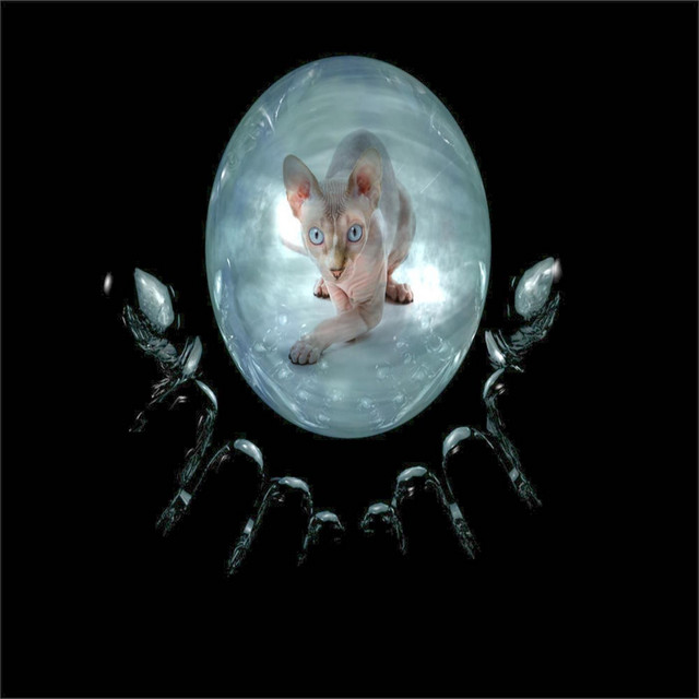 The Warren cover