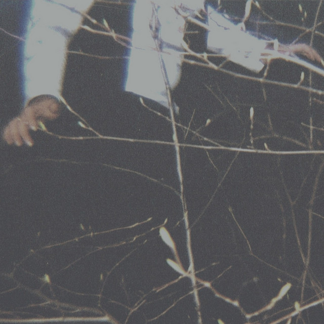 The Wilderness cover art