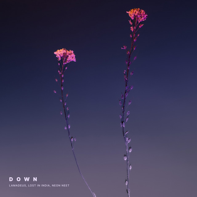 Down cover art