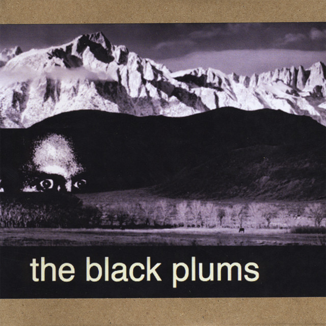 The Black Plums cover