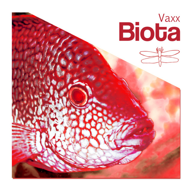 Biota - DJ GrujA Remix cover art