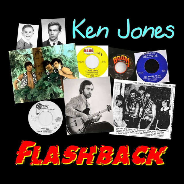 Flashback cover