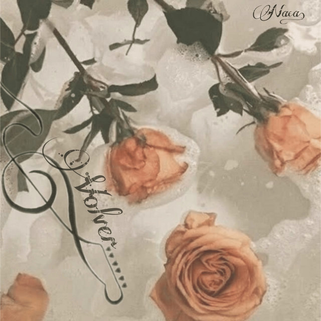 Volver cover art