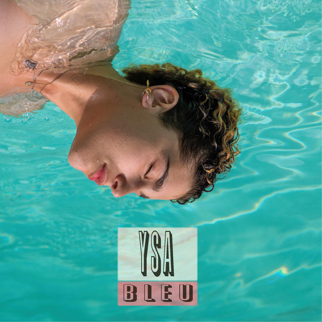 Bleu cover art