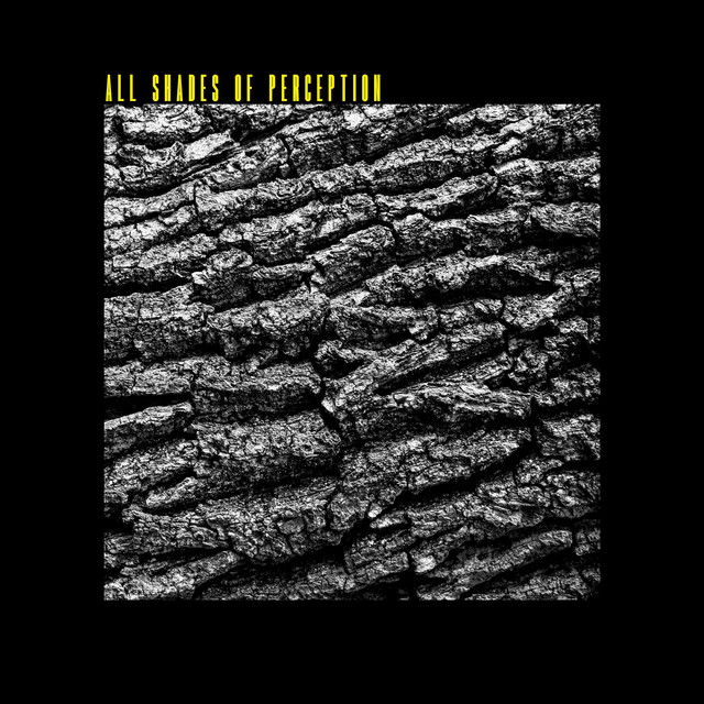 All Shades of Perception cover art