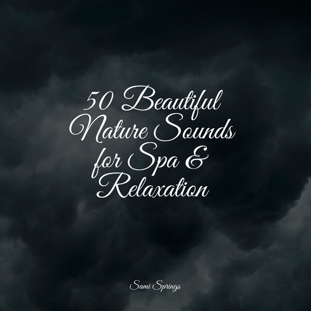 50 Beautiful Nature Sounds for Spa & Relaxation - Album by Rainforest ...