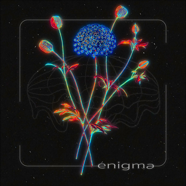 Обкладинка: Enigma — digital nomad
