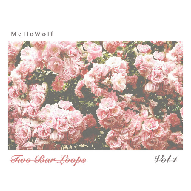 Two Bar Loops, Vol. 1 cover art