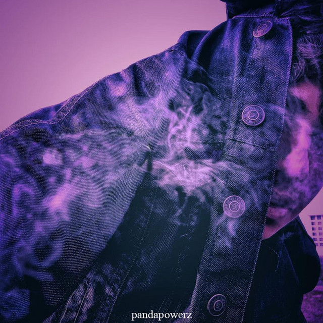 pandapowerz image