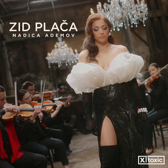 Zid plača