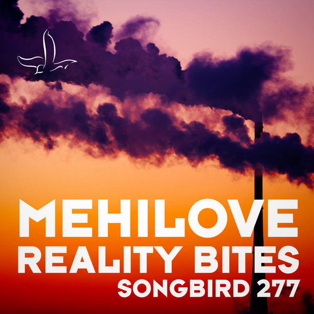 Обкладинка MEHÍLOVE — Reality Bites
