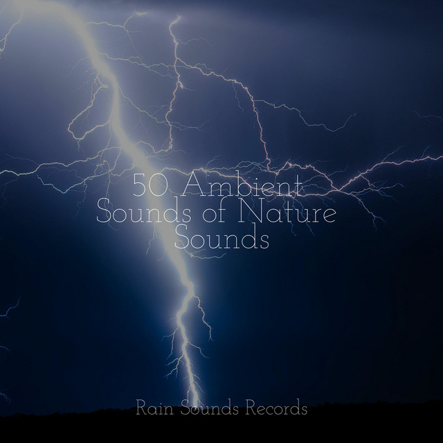 50 Ambient Sounds of Nature Sounds - Album by Canciones De Cuna | Spotify