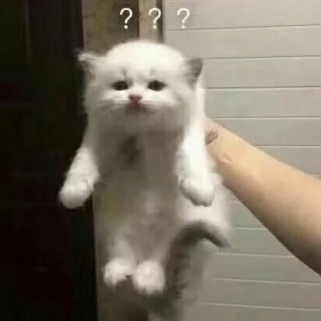 back in a month