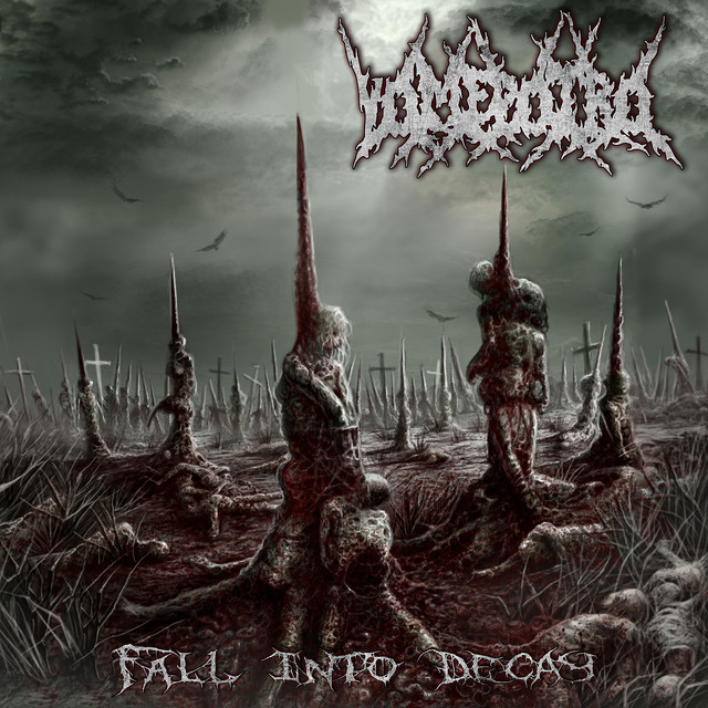 Fall into Decay cover