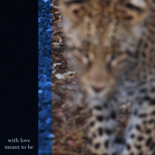 Meant to Be cover art