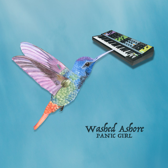 Washed Ashore cover art